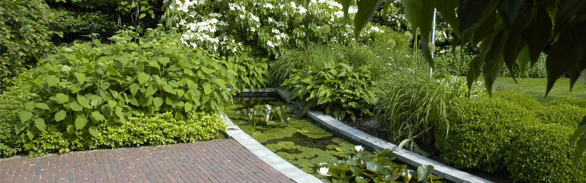 Patio-Garten mit Teich