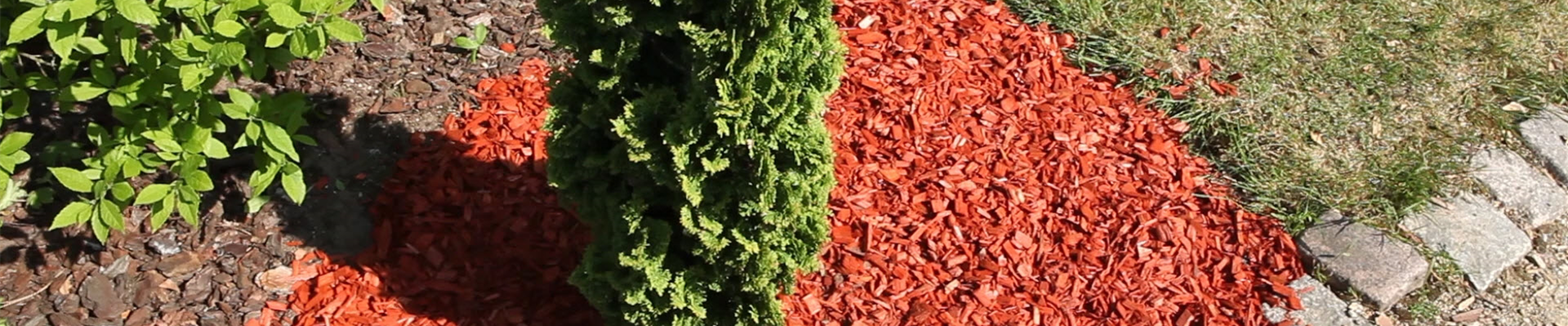 Mulch - Einsatz im Garten (thumbnail)
