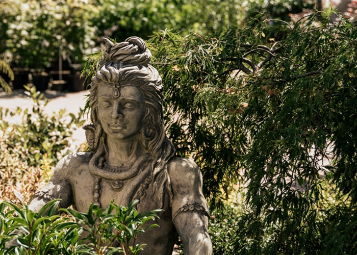 Gartengestaltung Gartengestaltung