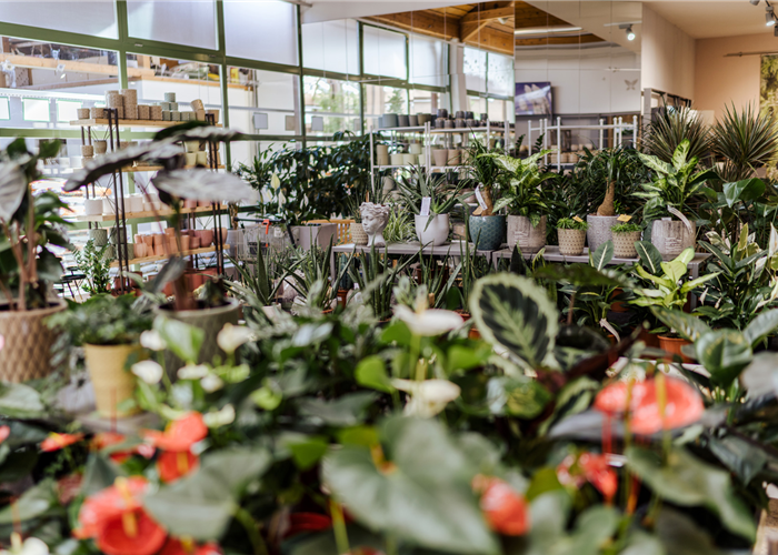 Gartencenter Gartencenter