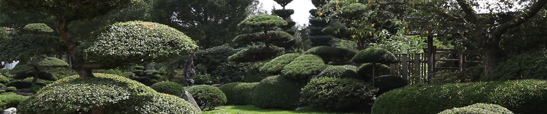 Gartengestaltung - Japan Garten (thumbnail)