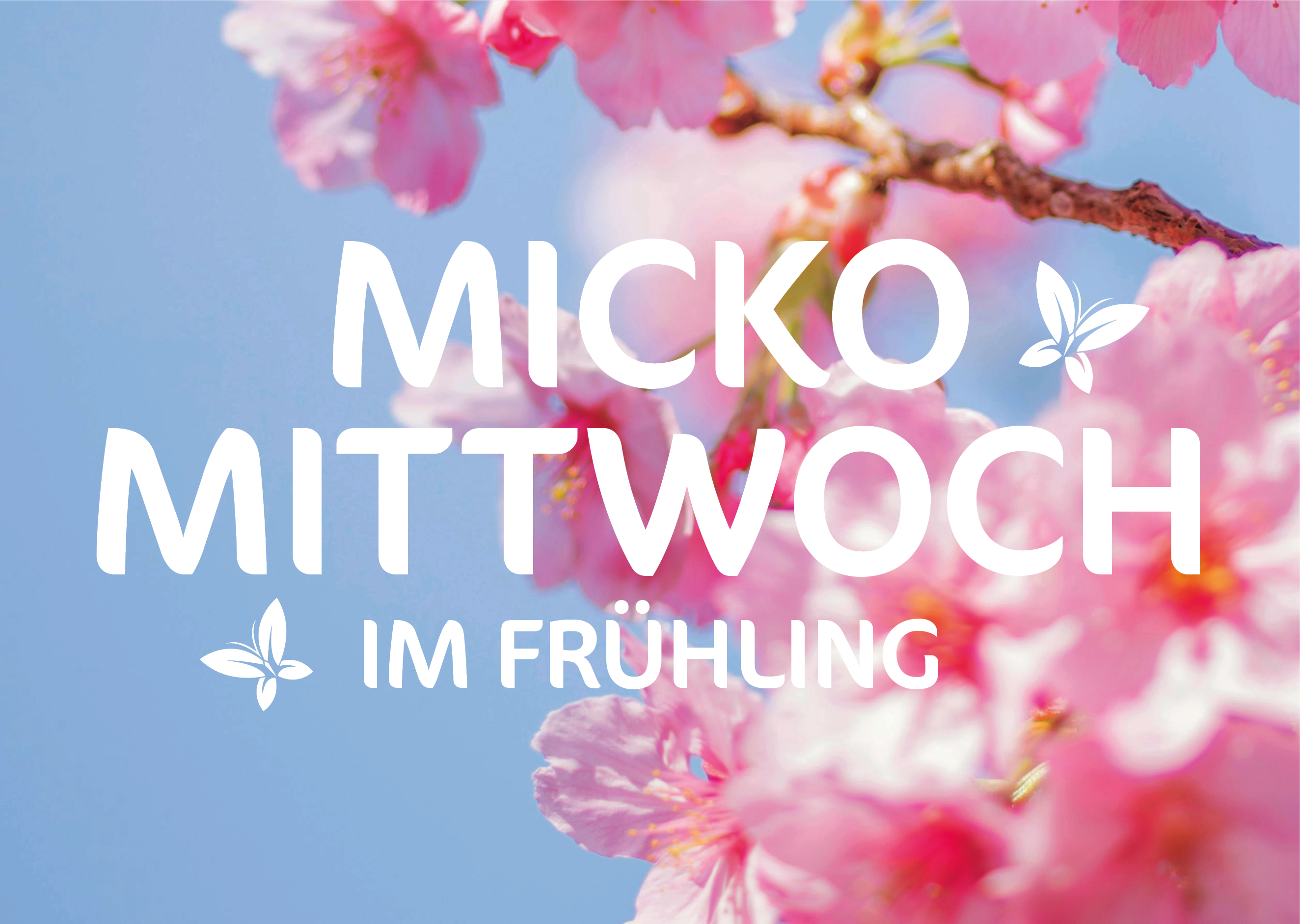 1 Micko Mittwoch Frühling.png