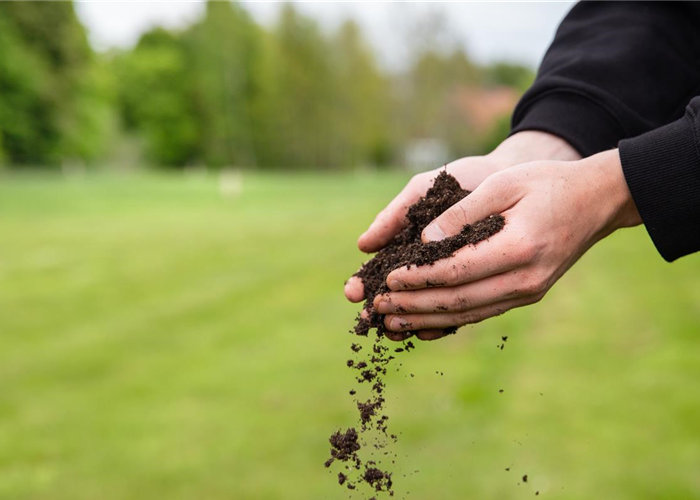 Der Gartenboden: Bodenarten und was sie bedeuten Der Gartenboden: Bodenarten und was sie bedeuten
