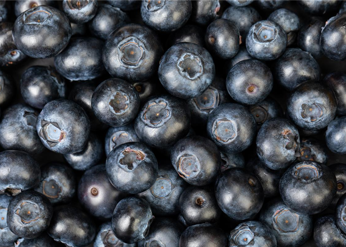 Heidelbeeren mit viel Geschmack Heidelbeeren mit viel Geschmack