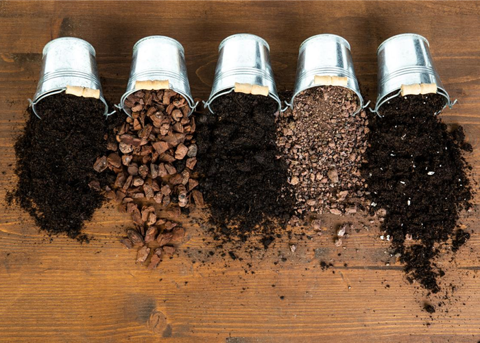 Die passende Erde für die Lieblingspflanzen in Haus und Garten Die passende Erde für die Lieblingspflanzen in Haus und Garten