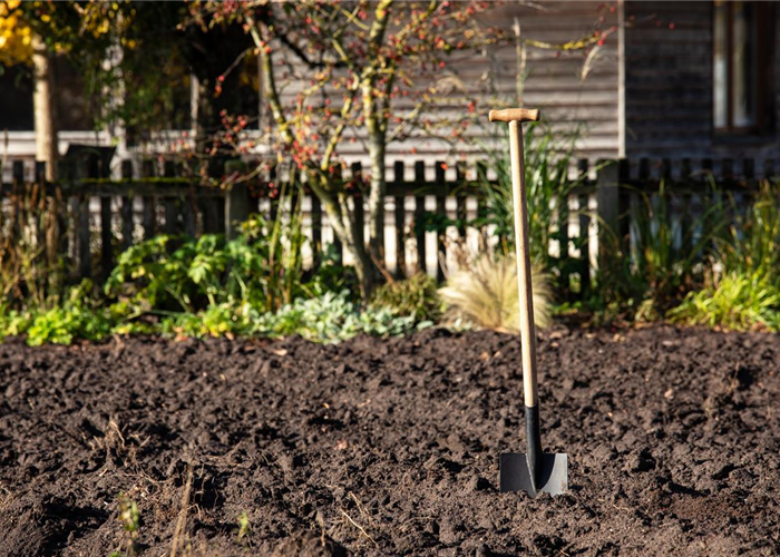 Die richtige Bodenpflege – Grundlage für einen schönen Garten Die richtige Bodenpflege – Grundlage für einen schönen Garten
