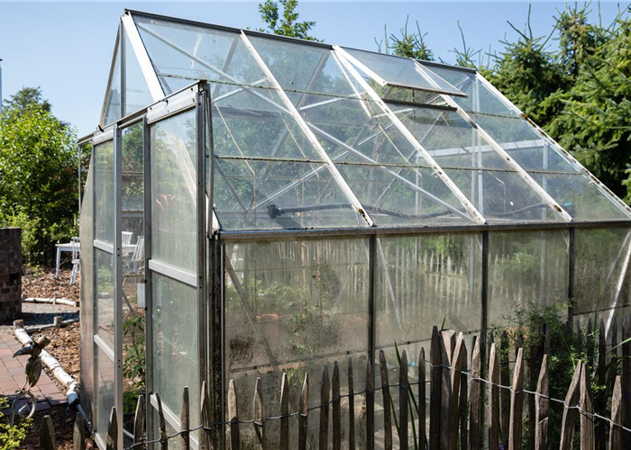 Gewächshäuser richtig bepflanzen – Mit wenigen Tricks zu reicher Ernte Gewächshäuser richtig bepflanzen – Mit wenigen Tricks zu reicher Ernte