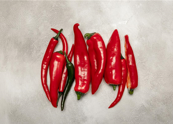 Paprika selber anbauen – Tipps für Anzucht und Ernte Paprika selber anbauen – Tipps für Anzucht und Ernte