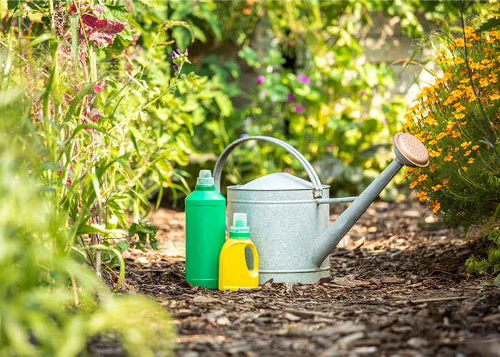Pflanzen düngen für reiche Ernte und Blütenpracht