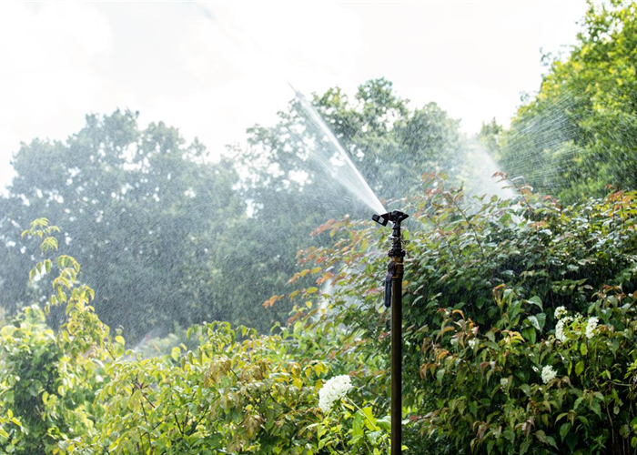 Praxiserprobte Tipps für eine nachhaltige Bewässerung Praxiserprobte Tipps für eine nachhaltige Bewässerung