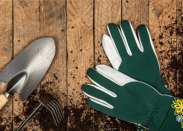 Rechtzeitig für das kommende Gartenjahr den Garten vorbereiten Rechtzeitig für das kommende Gartenjahr den Garten vorbereiten