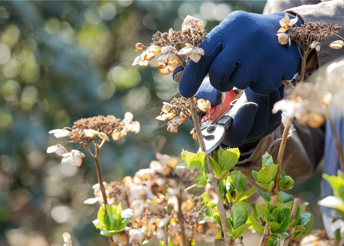 Frühjahrsputz im Garten – Das steht jetzt an Frühjahrsputz im Garten – Das steht jetzt an