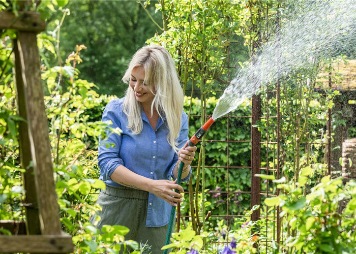 Pflanzenpflege im Sommer für durstige Gartenbewohner
