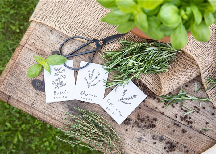 Ein Aussaatkalender sorgt für Übersicht bei der Gartenplanung