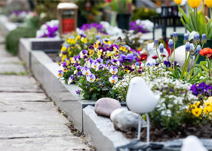 Eine ganzjährige Grabbepflanzung für ein stilvolles Andenken Eine ganzjährige Grabbepflanzung für ein stilvolles Andenken