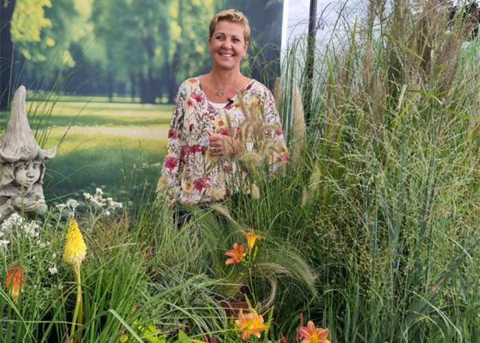 ORF Gartentipp 20.09.2024 Gräser, Bartblume und Rhabarber ORF Gartentipp 20.09.2024 Gräser, Bartblume und Rhabarber