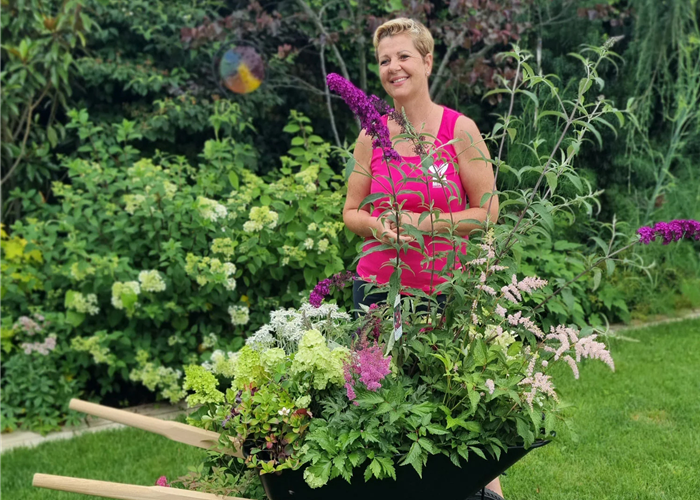 ORF Gartentipp 28.06.2024 To Do's im Garten ORF Gartentipp 28.06.2024 To Do's im Garten