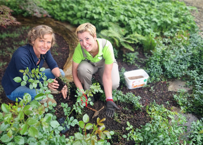 ORF Gartentipp 24.05.2024 Bodendecker ORF Gartentipp 24.05.2024 Bodendecker