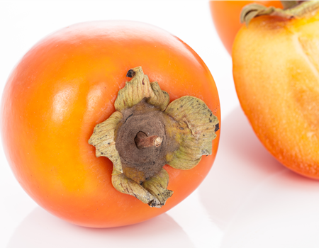 Diospyros lotus Diospyros lotus