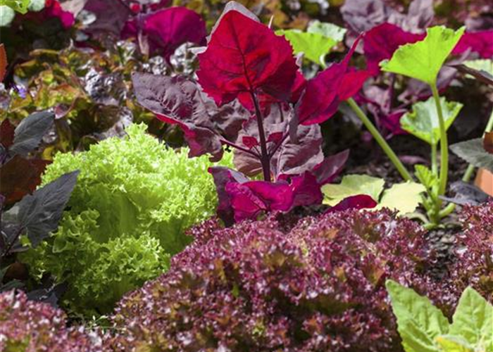 In Landlust schwelgen In Landlust schwelgen