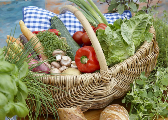 Das Pflanzen von Gemüse  Das Pflanzen von Gemüse