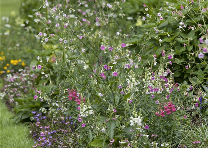 Senkgarten – Geschütztes Plätzchen Senkgarten – Geschütztes Plätzchen