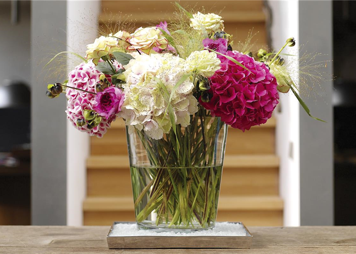 Damit der Blumenstrauß in der Vase nicht schlapp macht Damit der Blumenstrauß in der Vase nicht schlapp macht