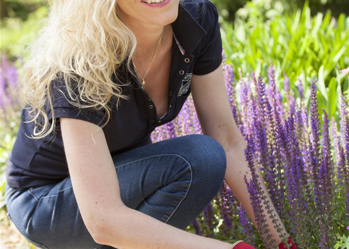Frühjahrsputz im Garten Frühjahrsputz im Garten