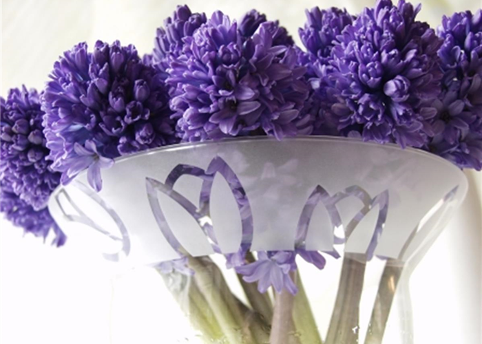 Farbenfroh in den Frühling starten: die Top 8 der Frühlingsboten