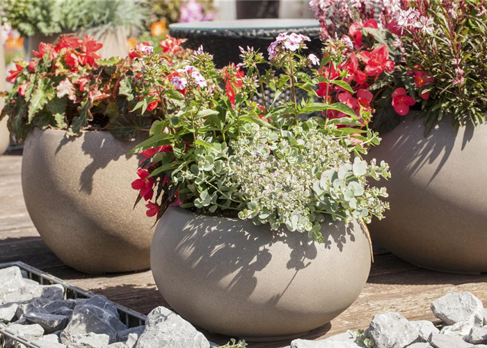 Blumentrends 2014 Blumentrends 2014