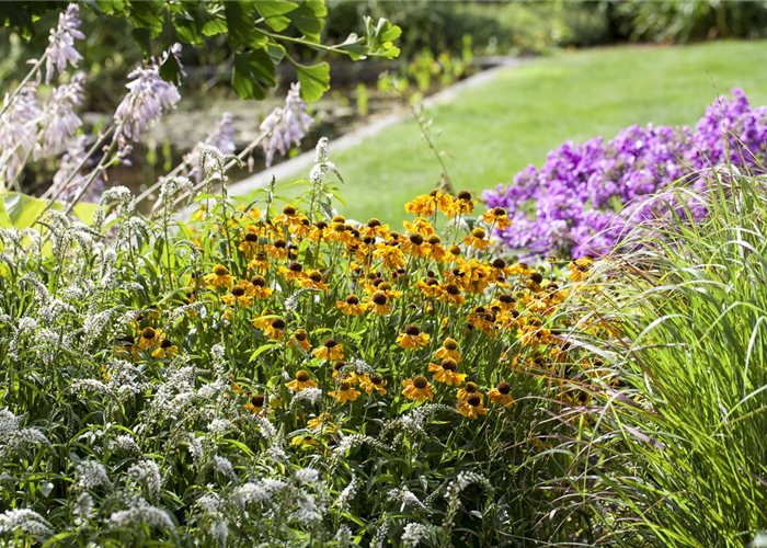 Frühjahrsputz im Staudenbeet