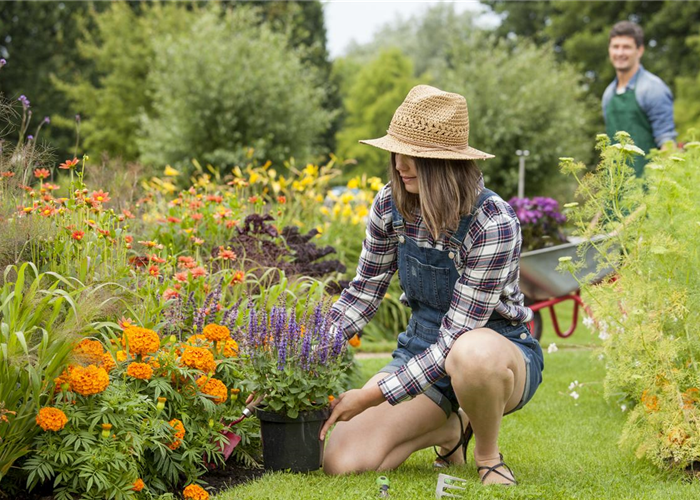 Frühling ist Pflanzzeit