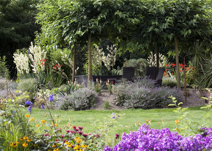 Was tun, wenn der Garten zu groß ist 