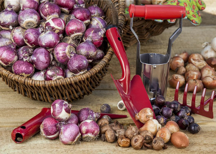 Der Experimentiergarten: es gibt Viel zu entdecken! Der Experimentiergarten: es gibt Viel zu entdecken!