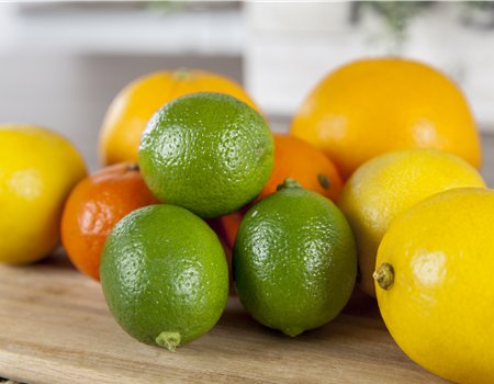 Citrus aurantifolia