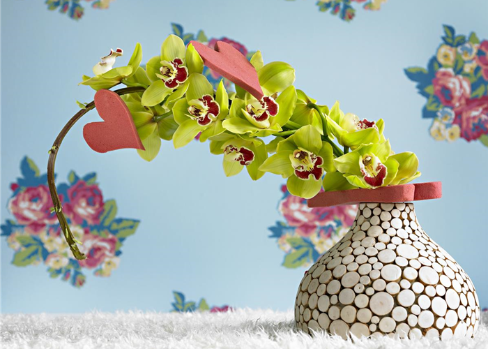 Grün durch den Winter: die Top 8 der Winterblumen