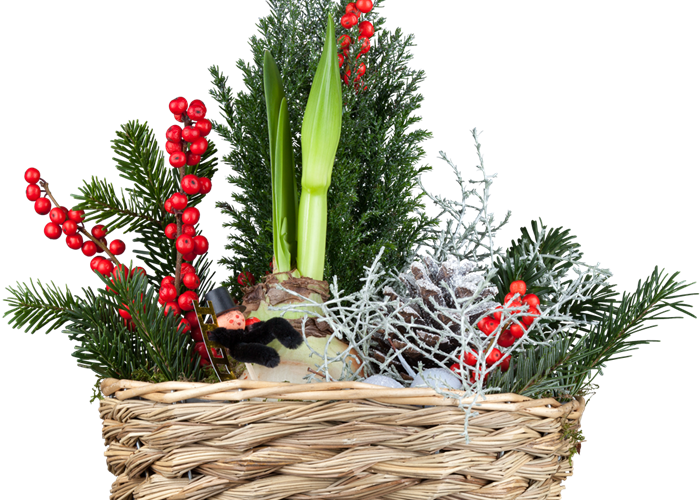 Weihnachtliche Stimmung im Garten Weihnachtliche Stimmung im Garten