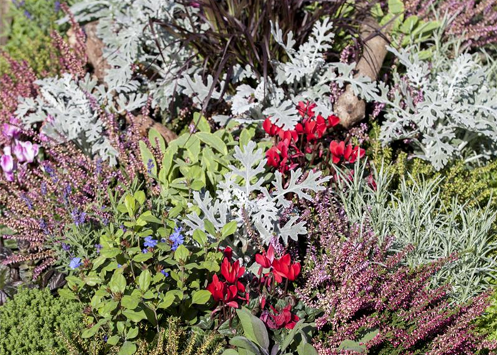 Die Grabpflege im November