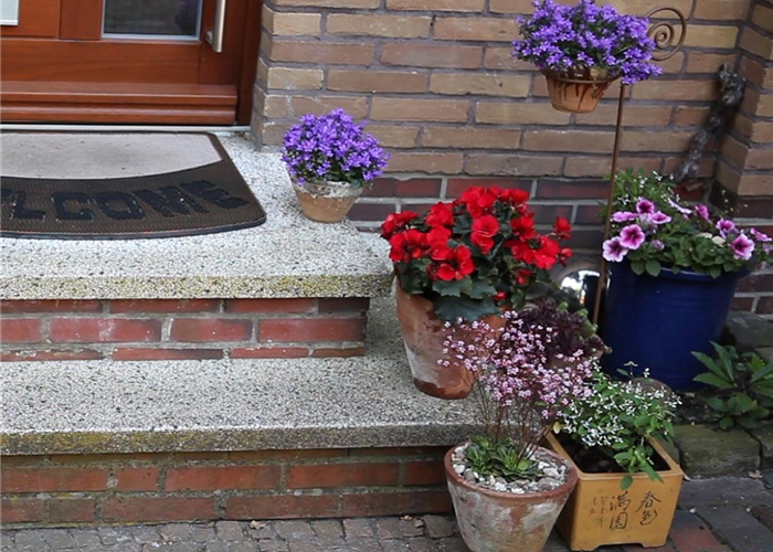 Kübelpflanzen windsicher machen