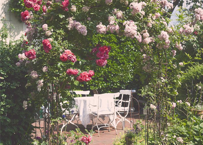 Sichtschutz für Ihren Garten