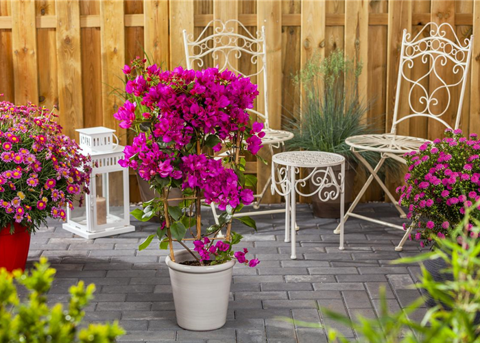 Pflastersteine zum Aufdrucken