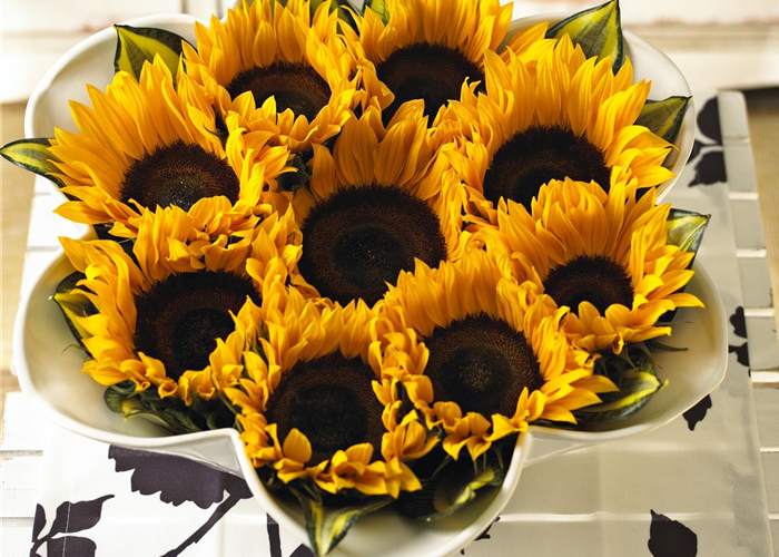 Der goldene Herbst wird bunt: die Top 8 der Herbstblumen Der goldene Herbst wird bunt: die Top 8 der Herbstblumen