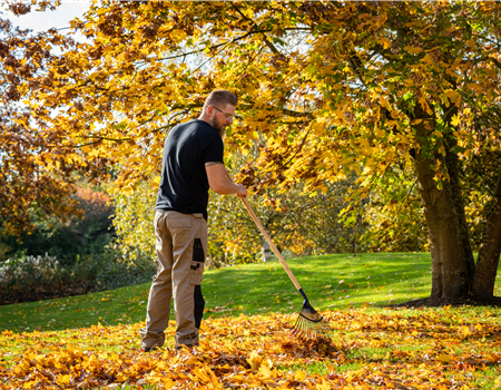 Gartenarbeit im September: Der Herbst beginnt mit bunten Farben Gartenarbeit im September: Der Herbst beginnt mit bunten Farben