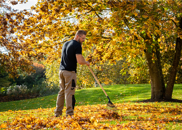 Gartenarbeit im September: Der Herbst beginnt mit bunten Farben Gartenarbeit im September: Der Herbst beginnt mit bunten Farben