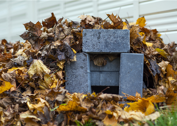 Ein Igelhaus bauen: praktische Schritt-für-Schritt-Anleitung