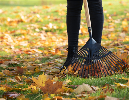 Gartenarbeit im Oktober - Letzte Vorbereitungen vor dem Winter Gartenarbeit im Oktober - Letzte Vorbereitungen vor dem Winter