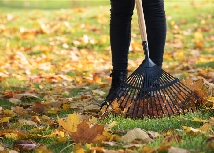 Gartenarbeit im Oktober - Letzte Vorbereitungen vor dem Winter