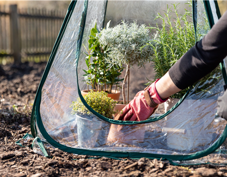 Gartenarbeit im November - Vorbereitung auf den Winter und das kommende Jahr Gartenarbeit im November - Vorbereitung auf den Winter und das kommende Jahr
