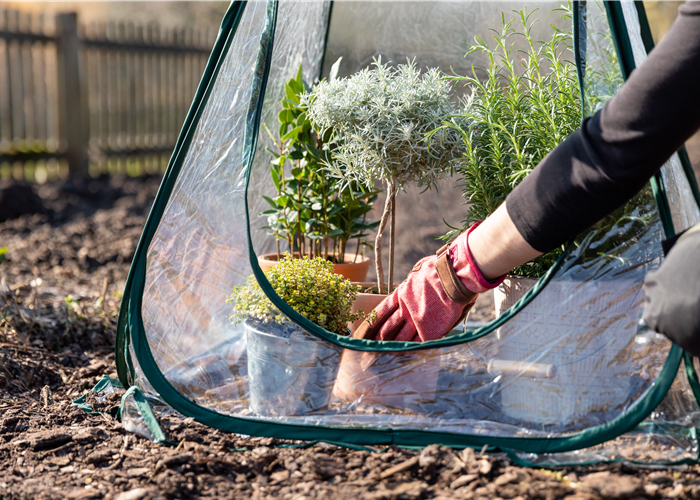Gartenarbeit im November - Vorbereitung auf den Winter und das kommende Jahr