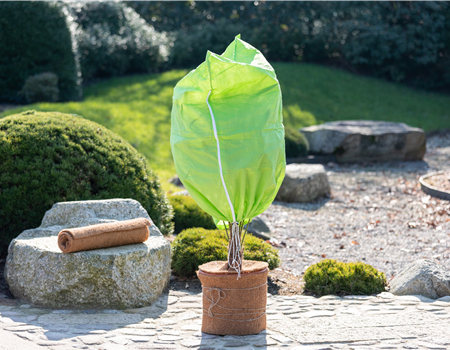 Gartenarbeit im Dezember – Hier ist mehr los als gedacht Gartenarbeit im Dezember – Hier ist mehr los als gedacht